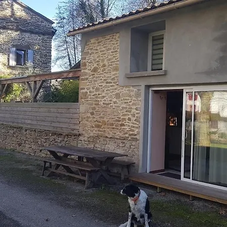 Relaxing Aux Fil De L'eau